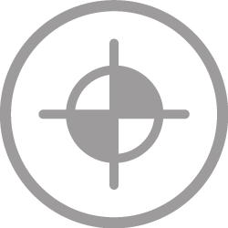 ikona